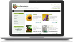 Responsive Design Eco Ecomm Plus #2